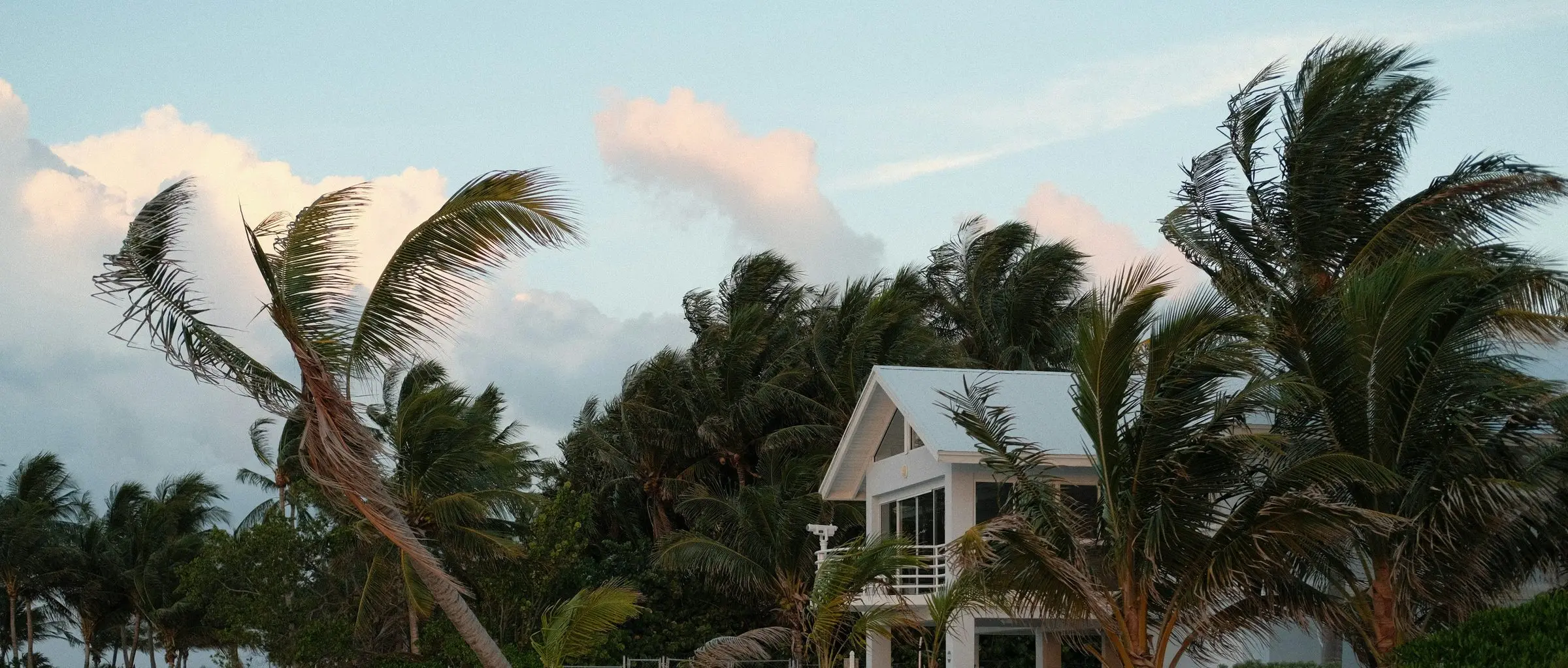 Palm trees bending in the wind around a white beach house under a stormy sky